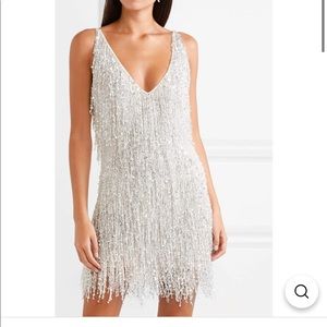 Silver Fringe Dress